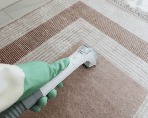 General Pest Control Sydney