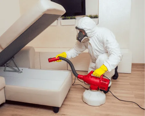 Leather Cleaning Sydney