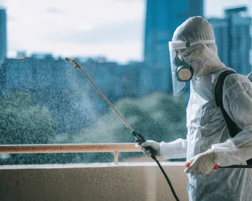 Tile and Grout Cleaning Sydney