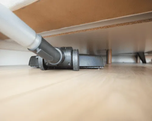 End of Lease Flea Treatment Sydney