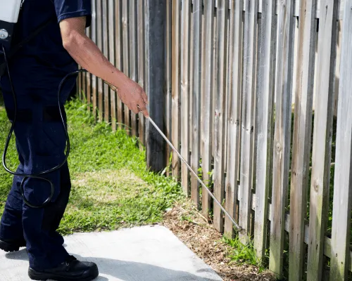 End of Lease Flea Treatment Sydney