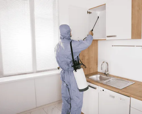 Carpet Cleaning Sydney