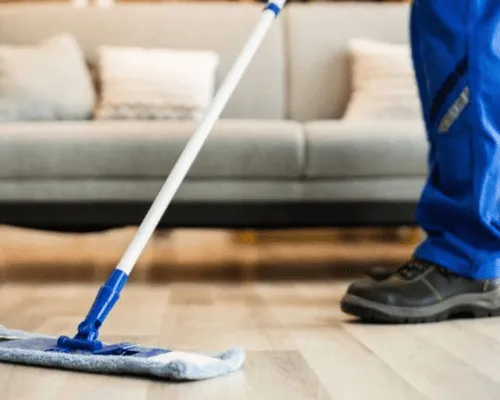 General Pest Control Sydney