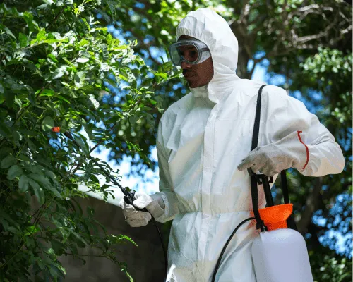 Carpet Cleaning Sydney