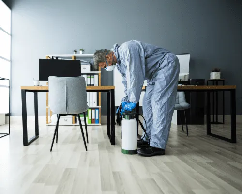 Upholstery Cleaning Sydney