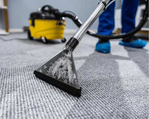 Sydney Carpet Cleaning