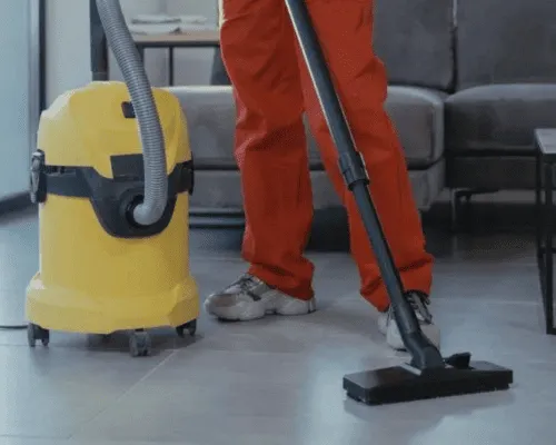 End of Lease Flea Treatment Sydney