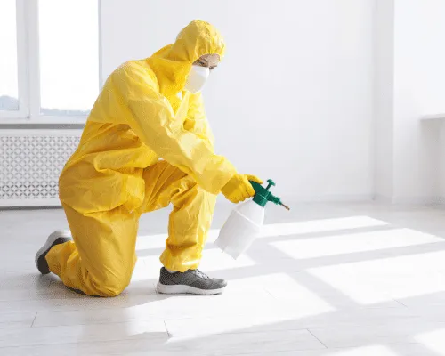 Sydney End of Lease Flea Treatment