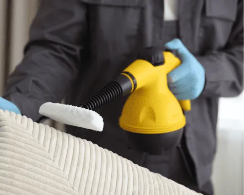 Sydney End of Lease Flea Treatment