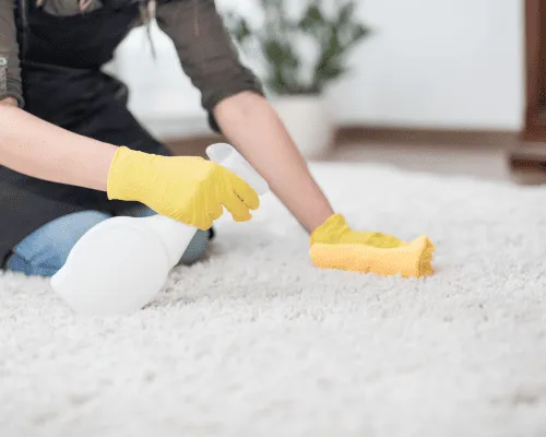  Carpet Cleaning