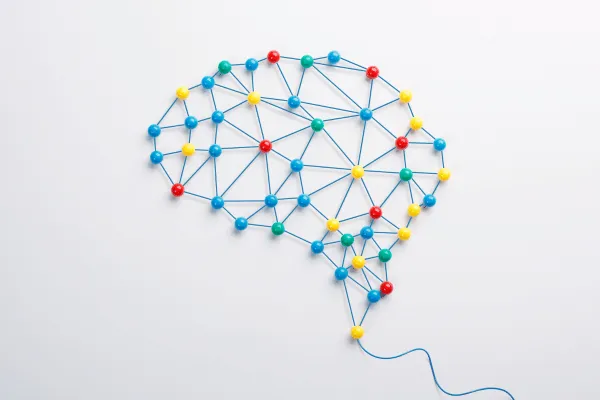Brain Mapping: Enhance Your Brain Function