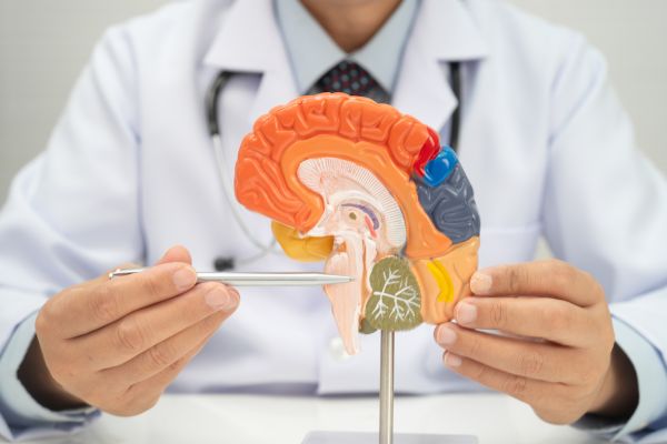 Understanding Heightened Senses During Stress