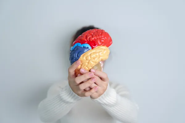 Understanding Brain Activity Through EEG Data