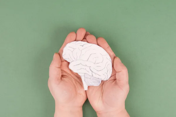 How Stress Impacts Brain and Nervous System