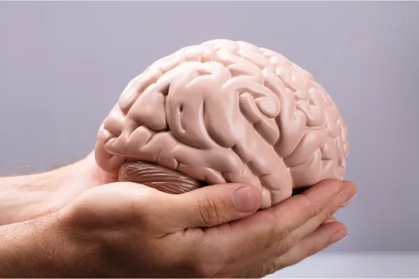 Stress and Sensory Sensitivity: Brain Mapping Insights
