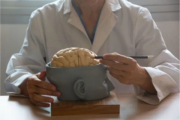 Brain Mapping: Insights into Your Brain Health
