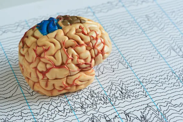 Brain & Nervous System Assessment Benefits