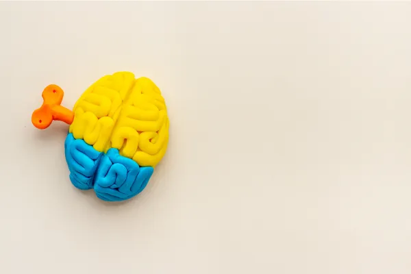 Brain Health: Stress & Nervous System Regulation