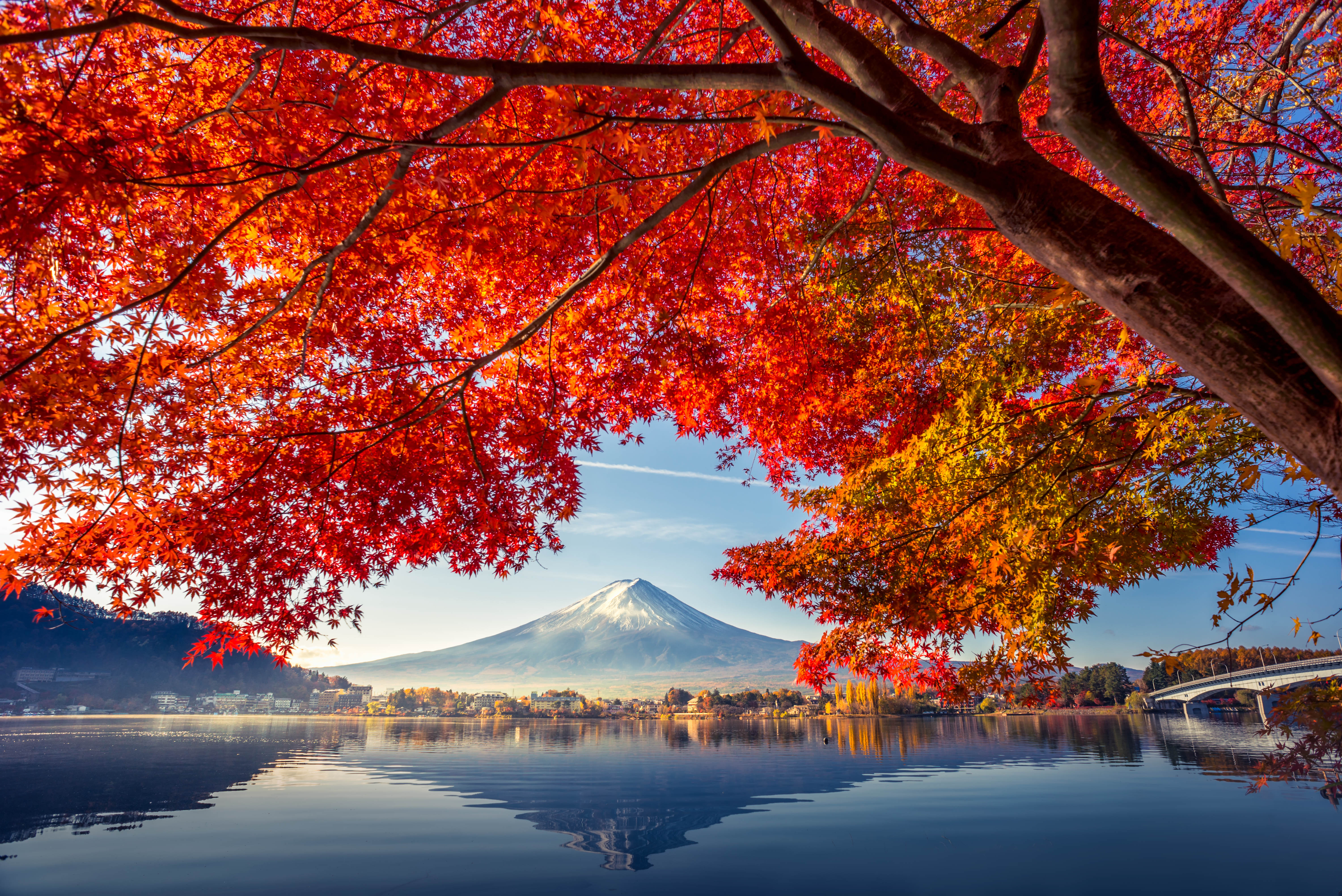 Autumn leaves frame Mt Fuji in Japan in October