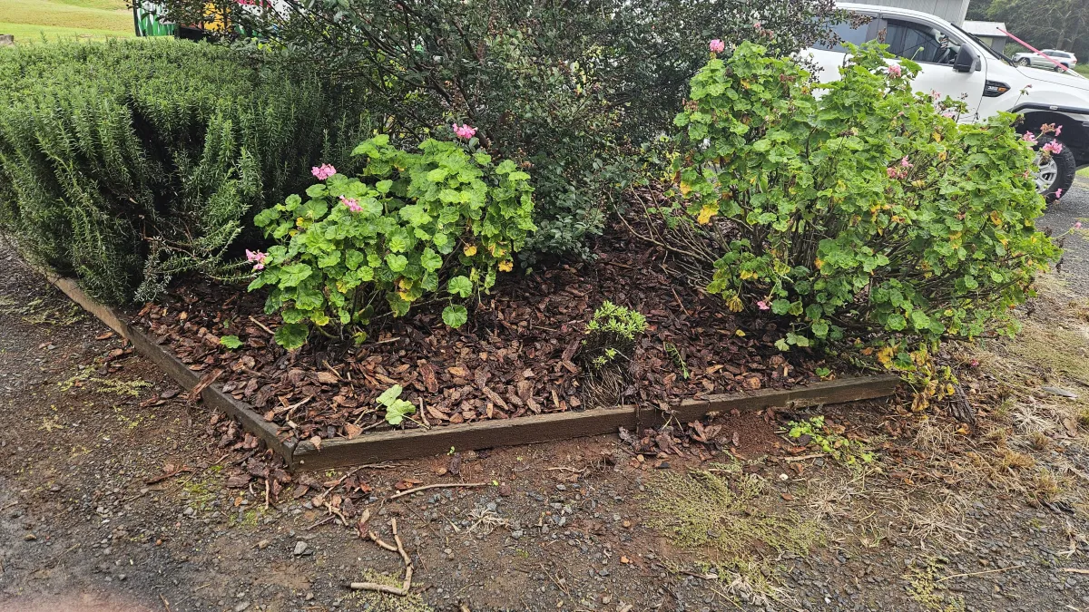 garden maintenance near me Wellington Point