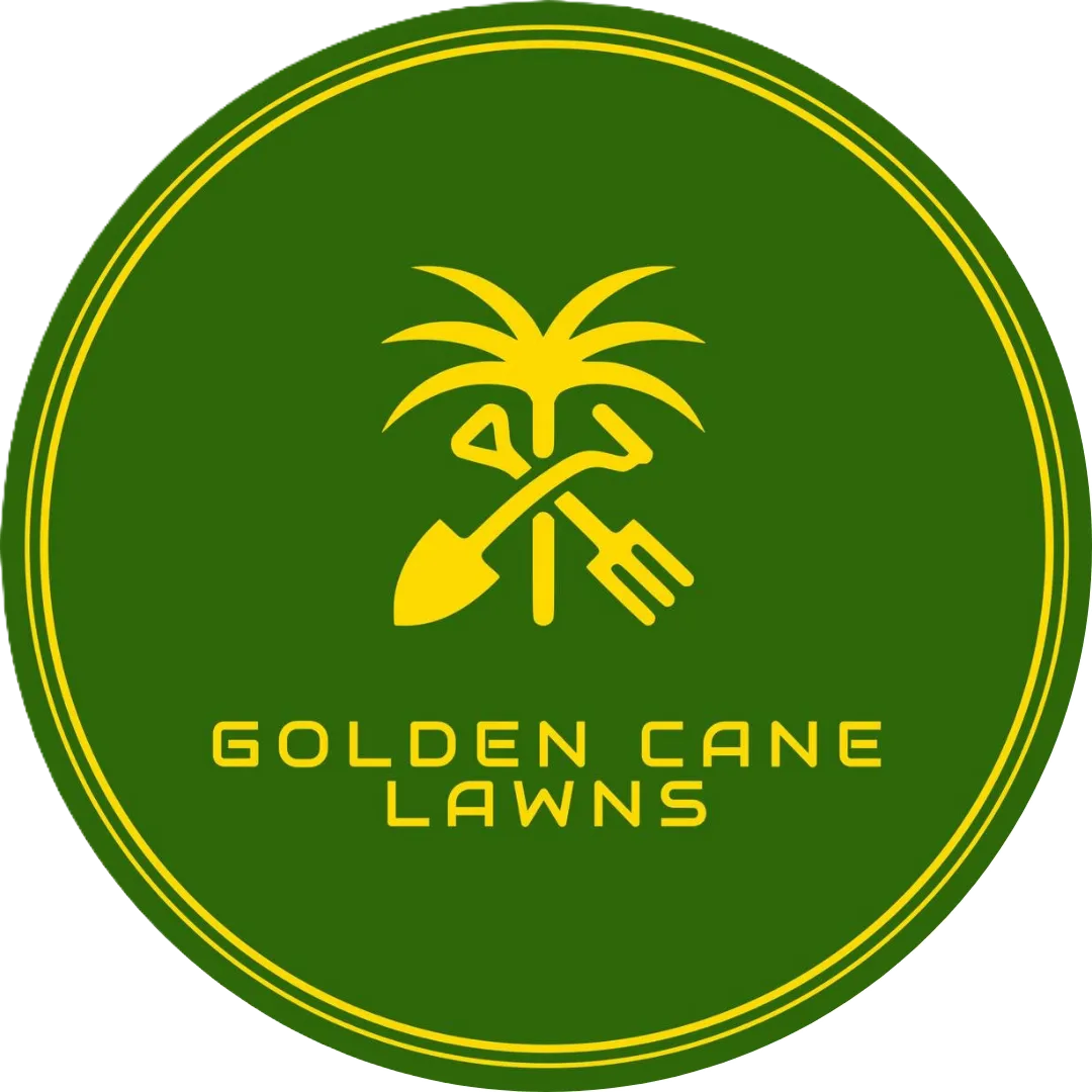 Lawn care Wellington Point by local lawn and garden professionals