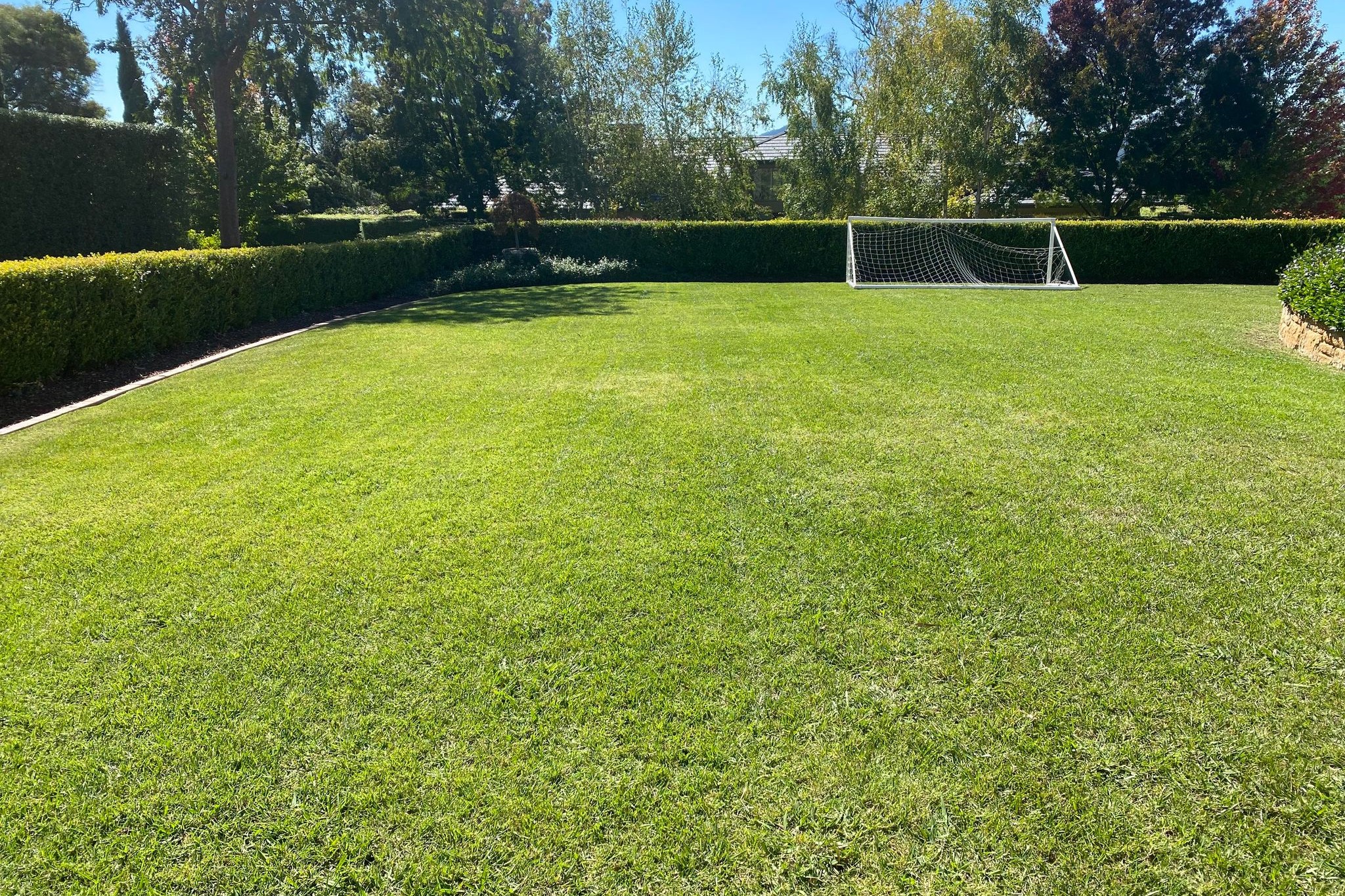 Lawn care Wellington Point lawn mowing service