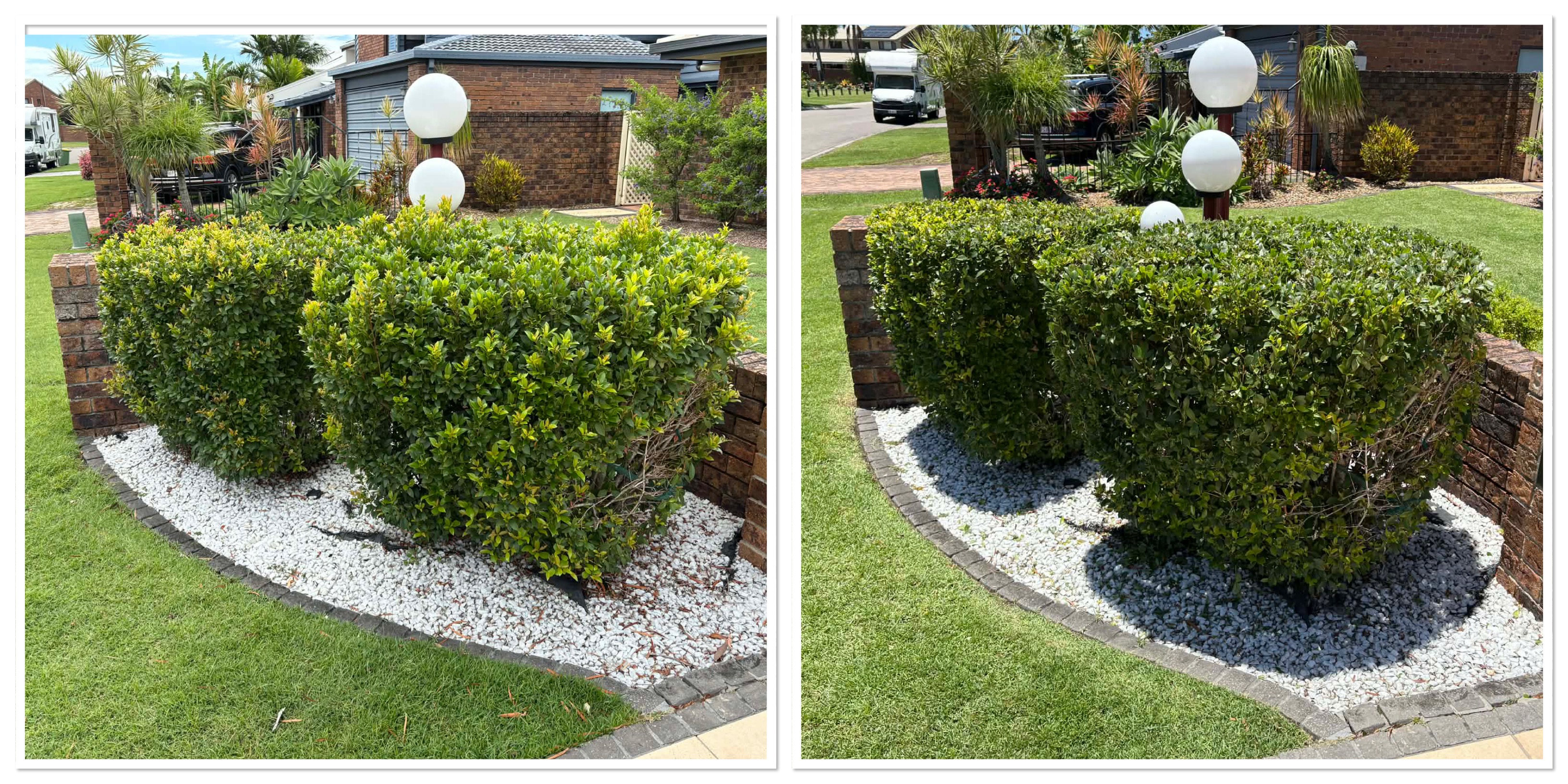 Clean hedge lines after professional hedge trimming in Wellington Point