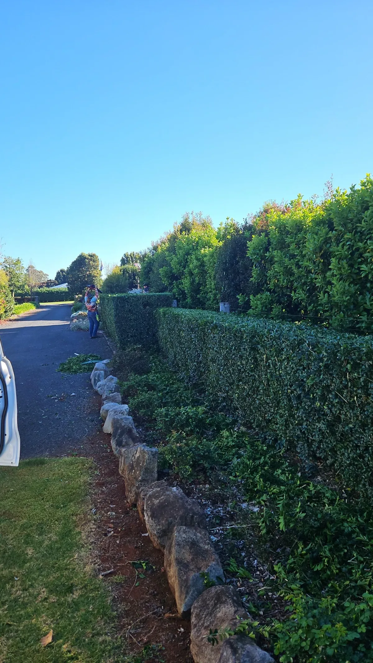 Neatly trimmed hedge at Wellington Point residential property