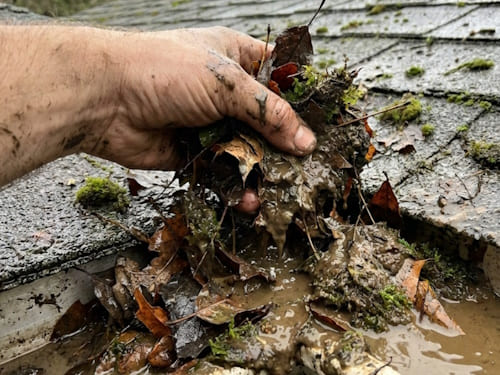 Gutter Cleaning & Clearing in Ringwood