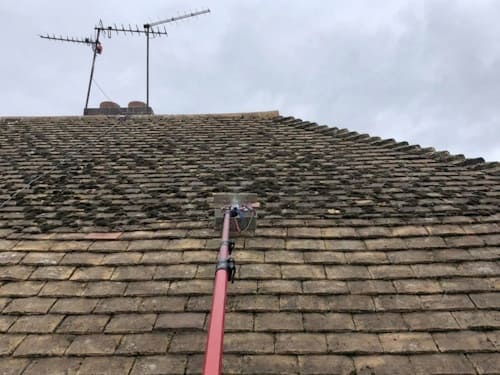 Roof Moss Removal in Ringwood