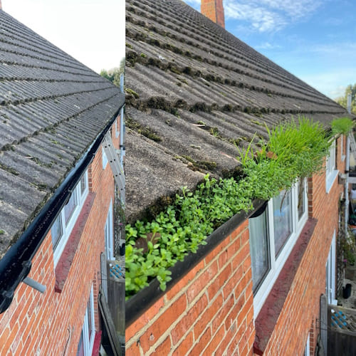 Soffit & Fascia Cleaning Ringwood