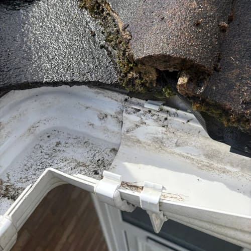 West Moors Gutter Repair
