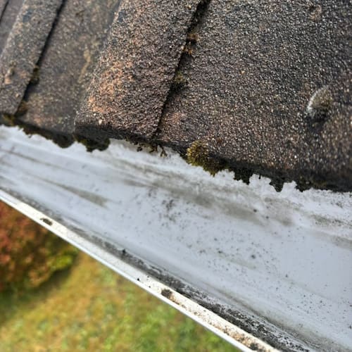 West Moors Gutter Cleaning & Clearing