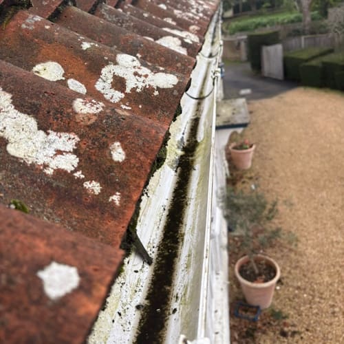 Roof Moss Removal Ringwood