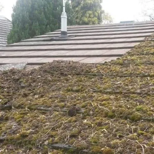 Verwood Conservatory Roof Cleaning