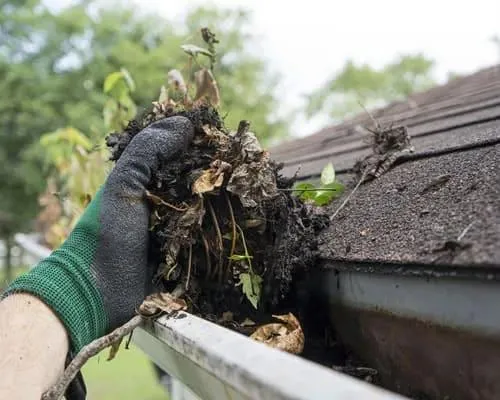 Ringwood Gutter Cleaning & Clearing