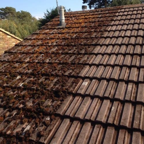 Lyndhurst Driveway & Patio Cleaning