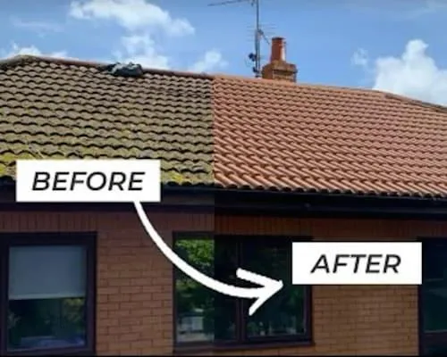 Ferndown Conservatory Roof Cleaning