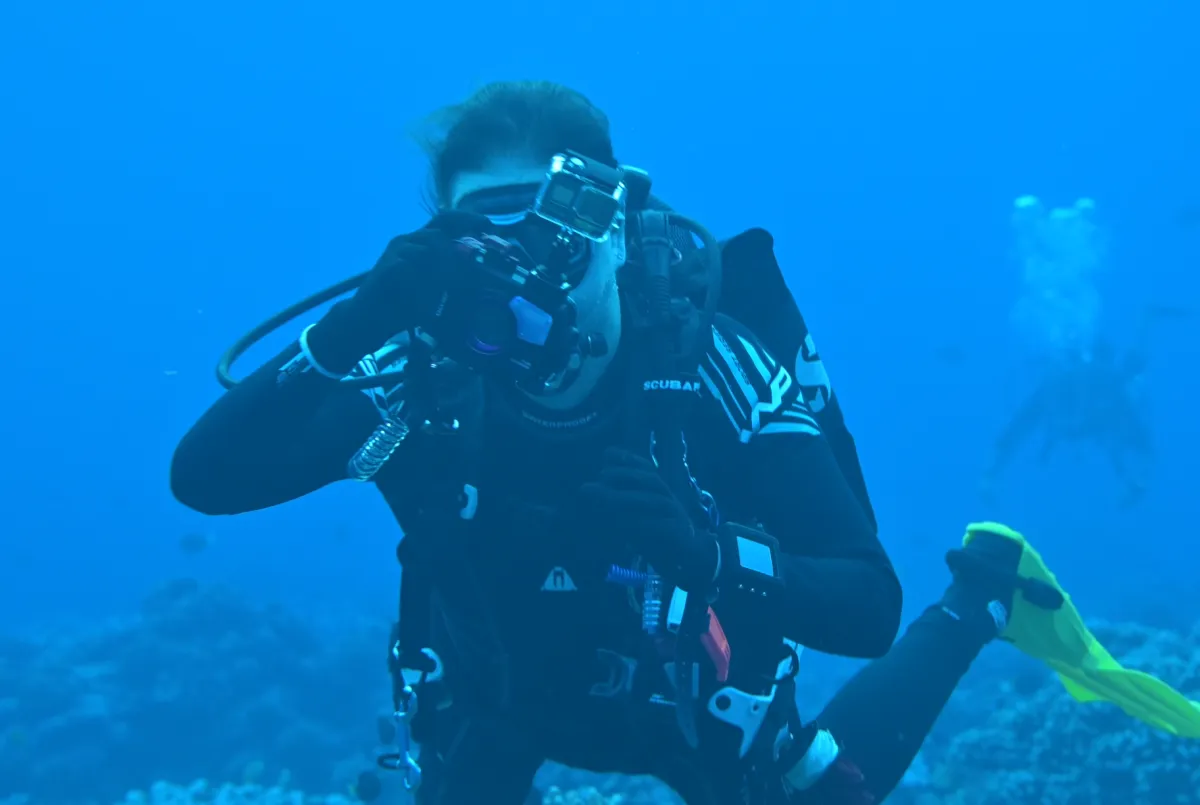 Diving videos under the sea Tuamotu