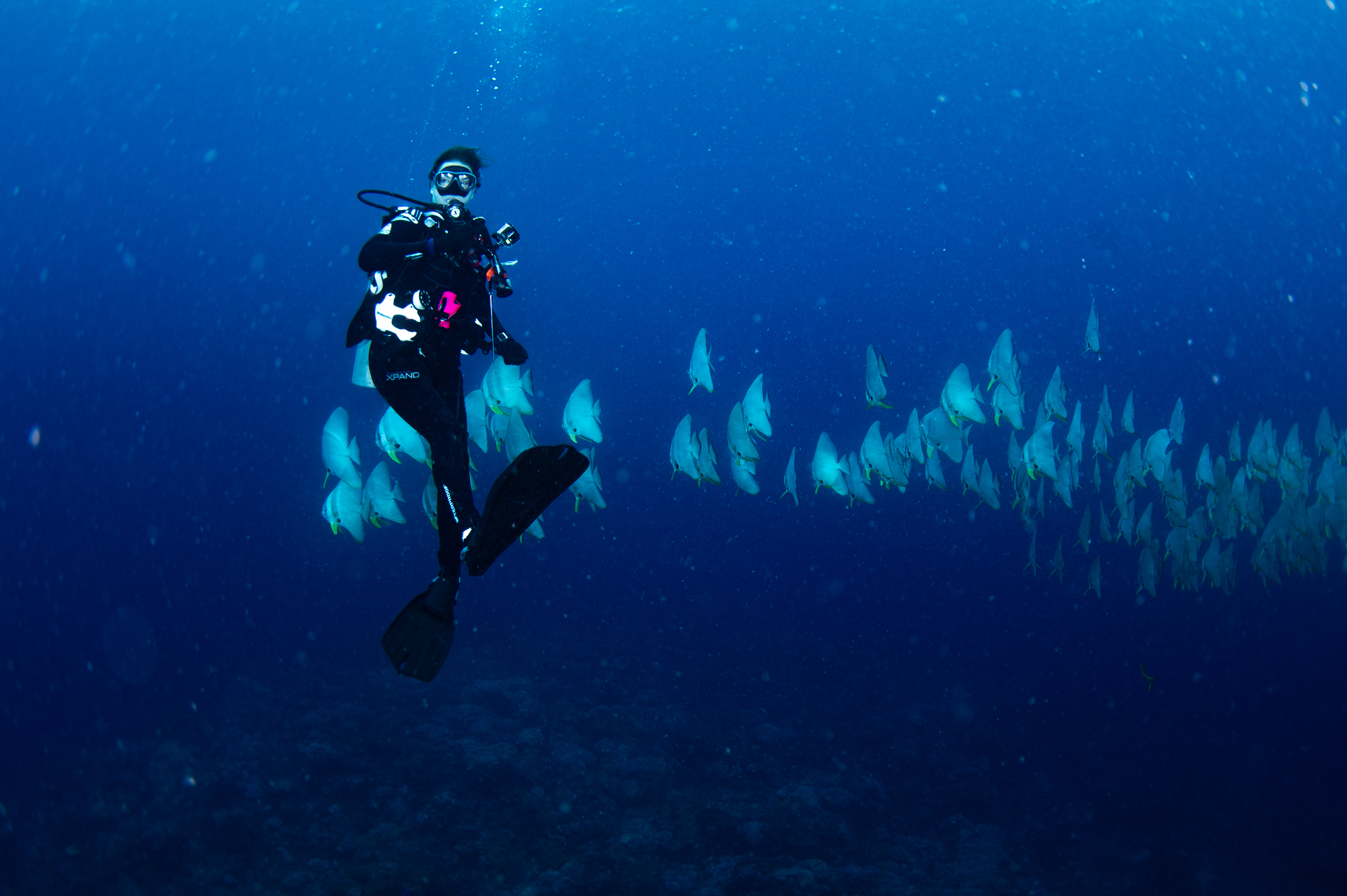 Diving Buddies at Namale