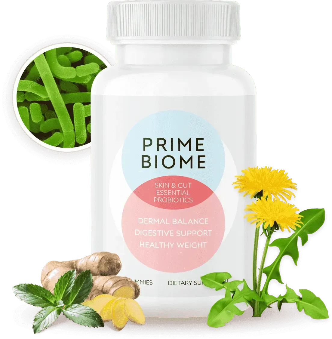 PrimeBiome-Supplement