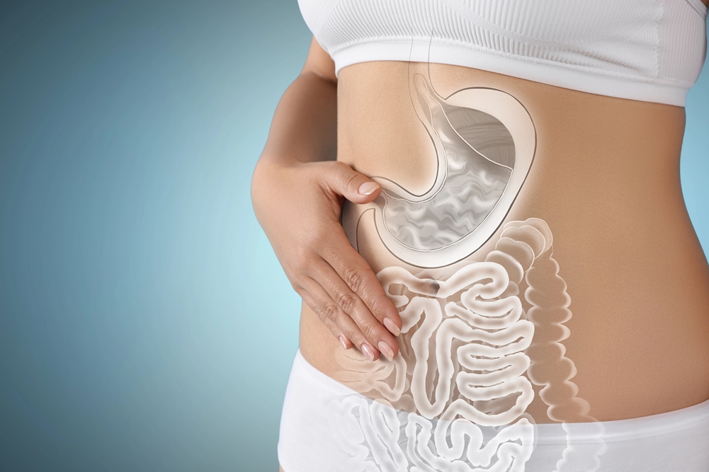 Microbiome Testing Cost UK: How Much Should You Pay and Is It Worth It?