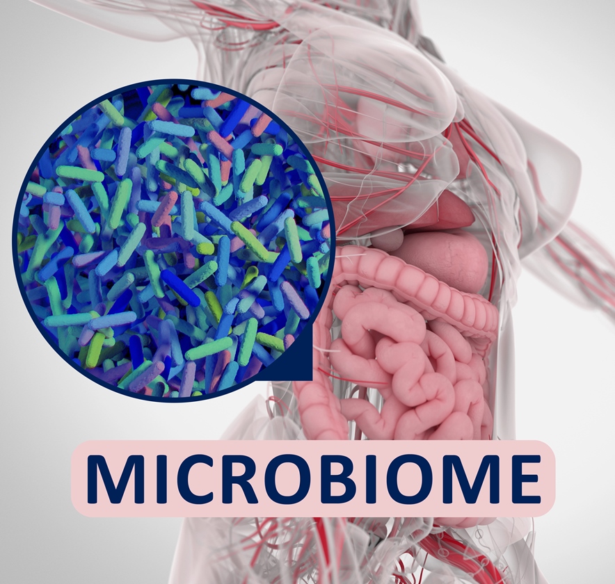 How Your Gut Microbiome Changes As You Age