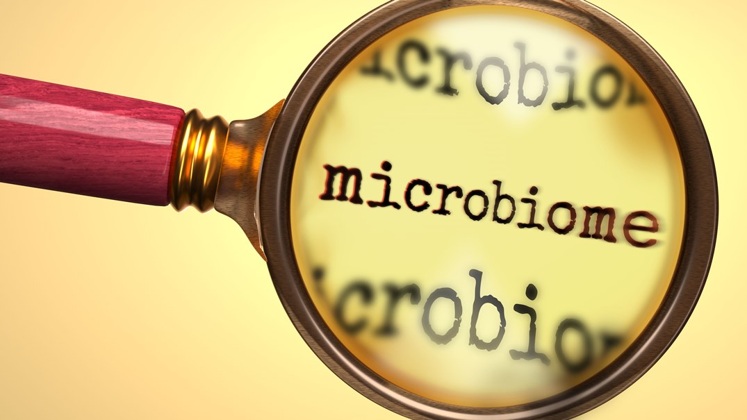 How often should I take a microbiome-test?