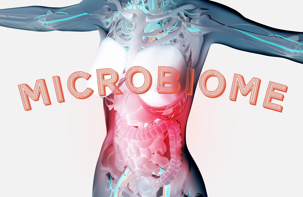 The Microbiome and Your Immune System: How Gut Health Shapes Immunity