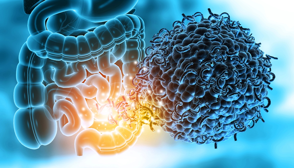 The Gut-Skin Axis: How Your Microbiome Affects Acne, Eczema and Rosacea