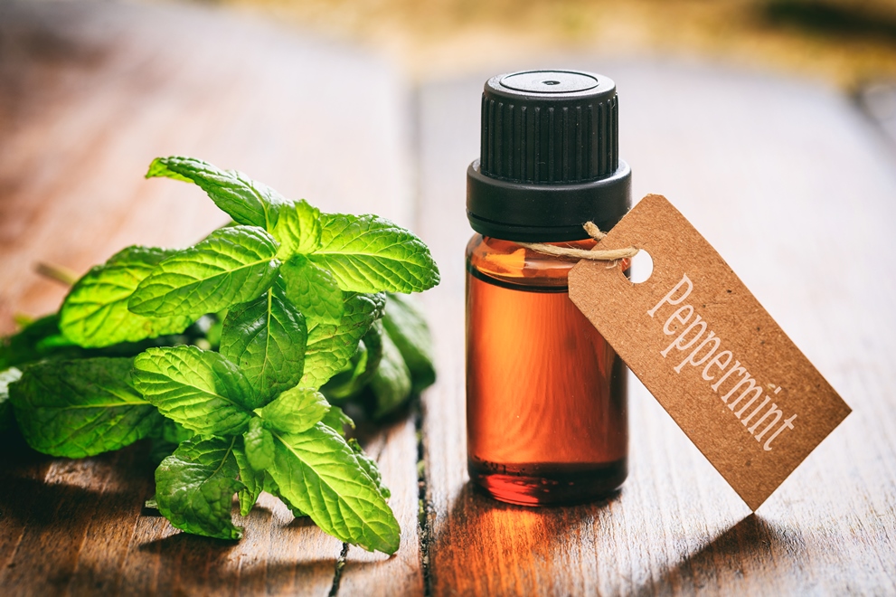 Peppermint Oil for IBS: Does It Actually Work?