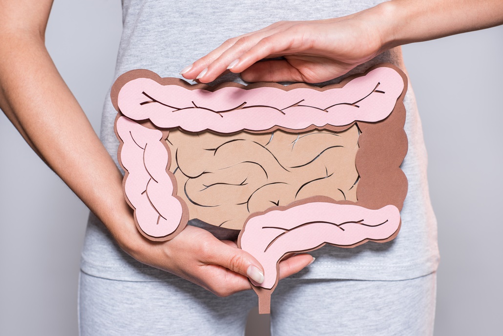The Gut-Heart Connection Explained