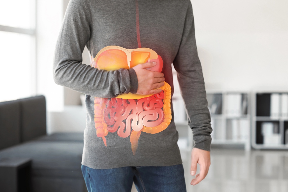 Gut Microbiome and Cholesterol: The Link to Heart Health