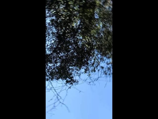 Create the Maintenance Call Before the Emergency Happens